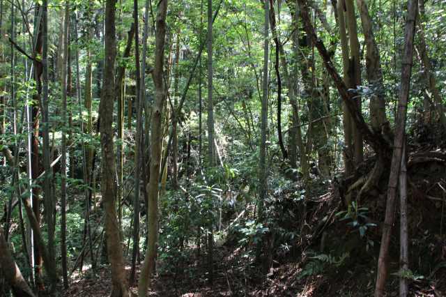 f:id:ksagi:20220102122942j:plain