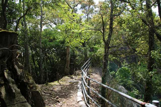 f:id:ksagi:20220102220529j:plain