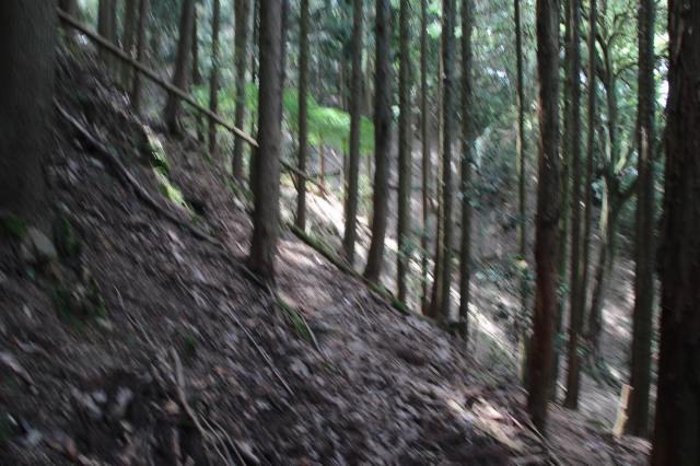 f:id:ksagi:20220102220856j:plain