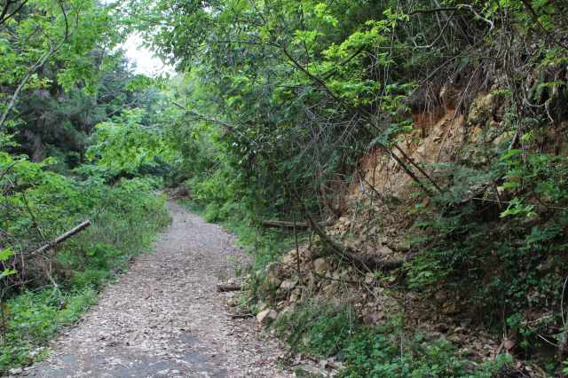 f:id:ksagi:20220102223251j:plain