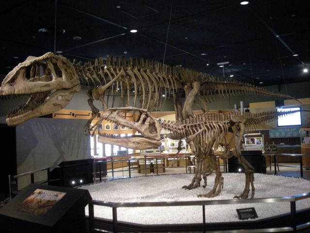 f:id:ksagi:20220102232840j:plain