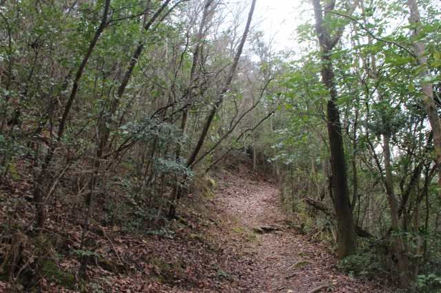 f:id:ksagi:20220104174849j:plain