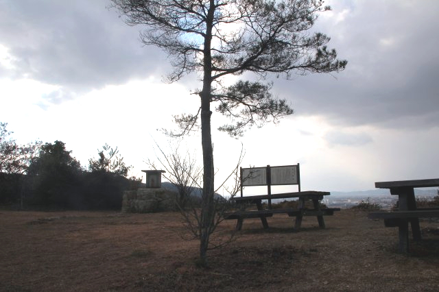 f:id:ksagi:20220104175144j:plain