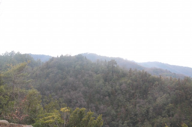 f:id:ksagi:20220104175339j:plain