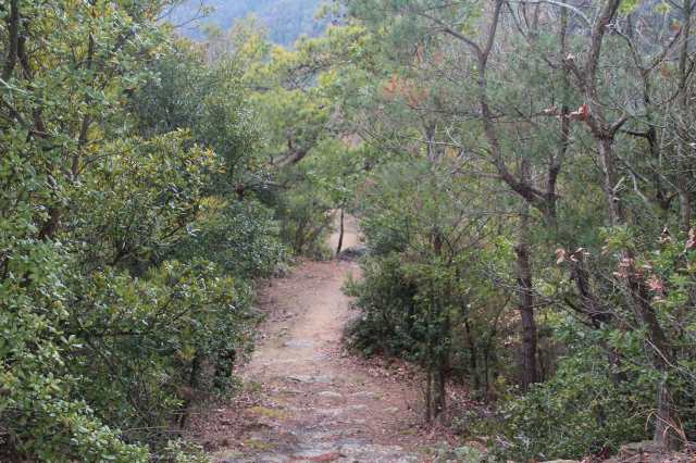 f:id:ksagi:20220104175400j:plain