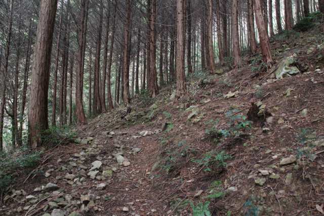 f:id:ksagi:20220104185122j:plain