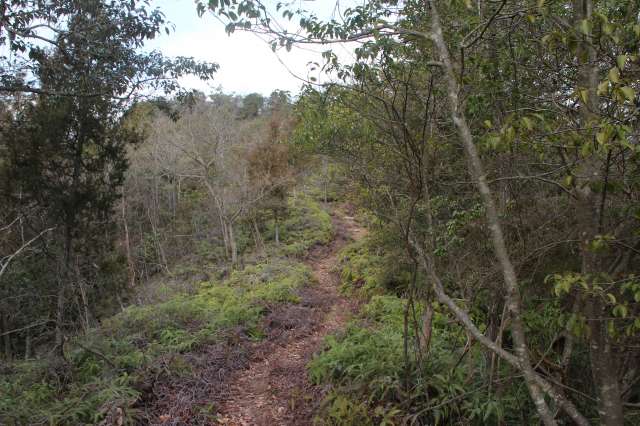 f:id:ksagi:20220104185219j:plain