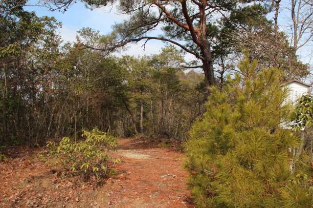 f:id:ksagi:20220104185249j:plain