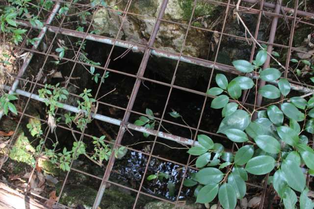 f:id:ksagi:20220104185739j:plain