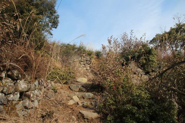 f:id:ksagi:20220104190002j:plain