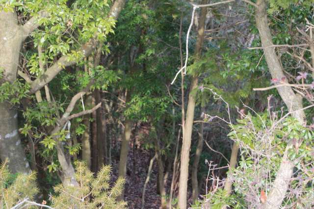 f:id:ksagi:20220104190234j:plain