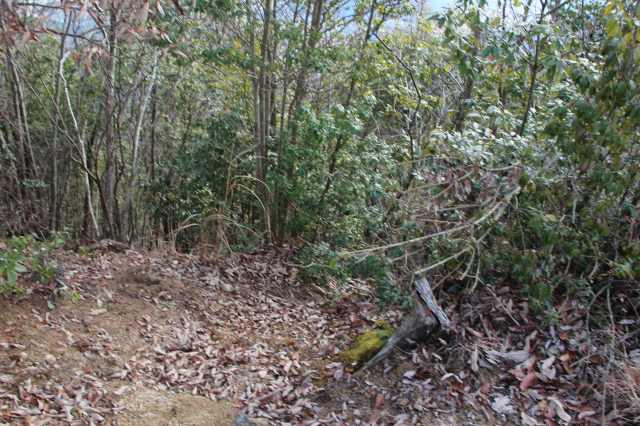 f:id:ksagi:20220104190607j:plain