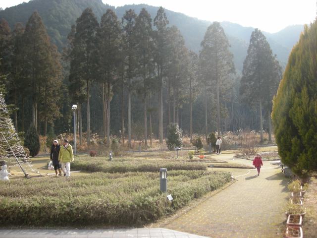 f:id:ksagi:20220104191240j:plain