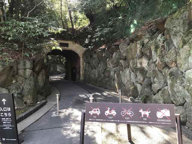 図録 松本俊介 回顧展 2020年 絶版 図録 松本俊介 回顧展 2020年 絶版