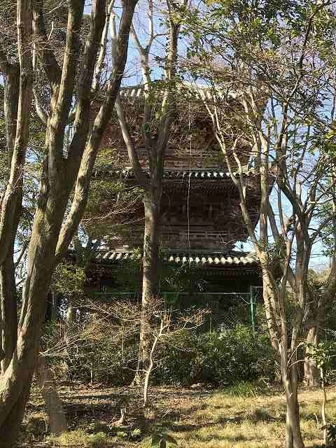 大山崎山荘美術館の松本俊介展を見学してから、尾高によるブルックナー