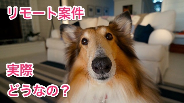 リモート案件 働いてみた 感想