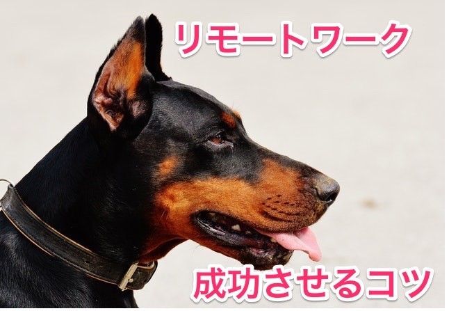 リモートワーク 成功 コツ