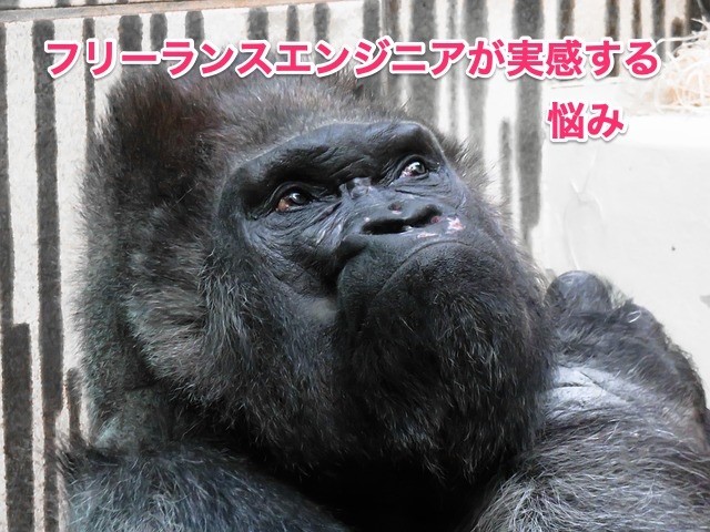 フリーランスエンジニア 悩み ローン 税金 将来 収入