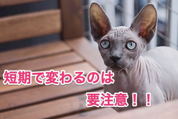 短期 現場 変わる 要注意