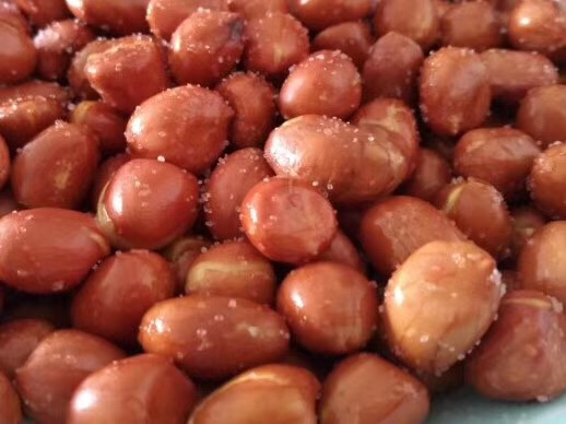 f:id:ksanhonsan:20190512090639j:plain f:id:ksanhonsan:20190512090639j:plain