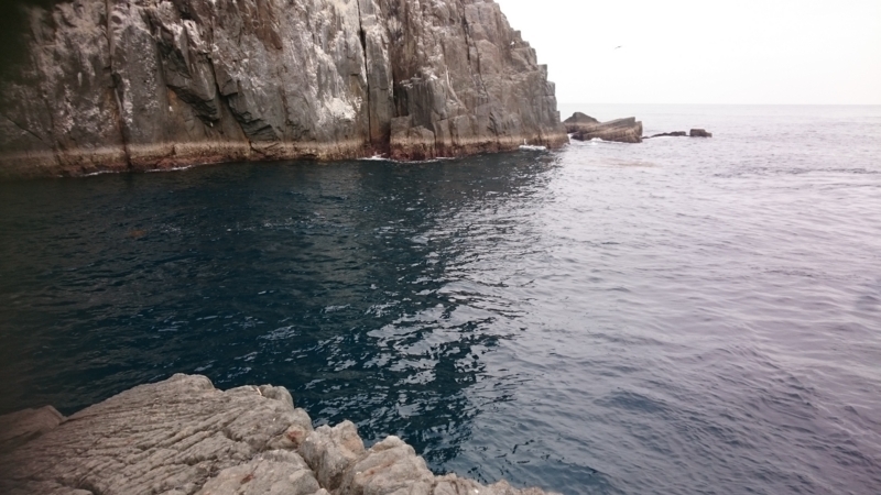 f:id:ksdestr0n:20180305161922j:plain f:id:ksdestr0n:20180305161922j:plain
