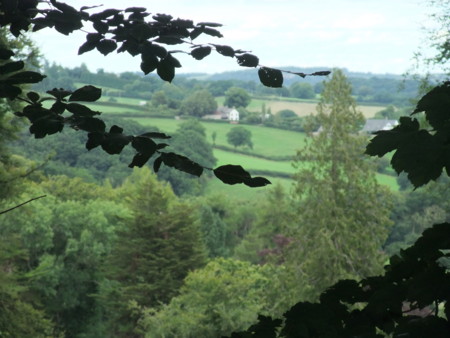 f:id:ksen:20100729010548j:image