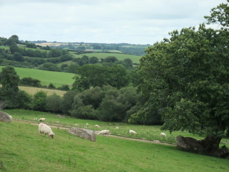 f:id:ksen:20100729011209j:image