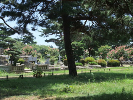 f:id:ksen:20100807111742j:image f:id:ksen:20100807111742j:image