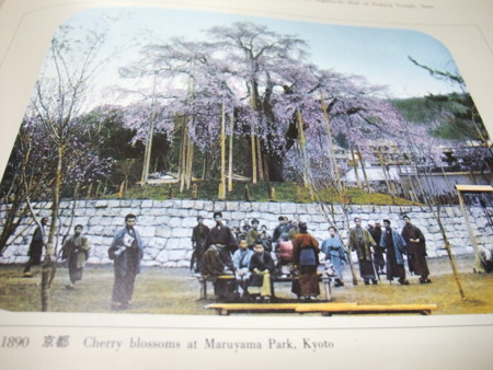 f:id:ksen:20101022083805j:image