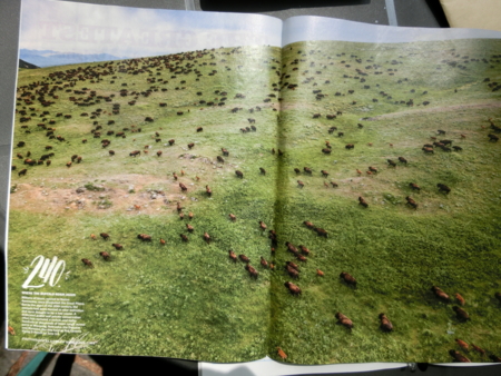 f:id:ksen:20160721141841j:image:w360:right