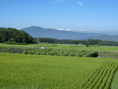 f:id:ksen:20160808074633j:image