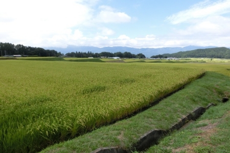 f:id:ksen:20160907093344j:image:w360:right