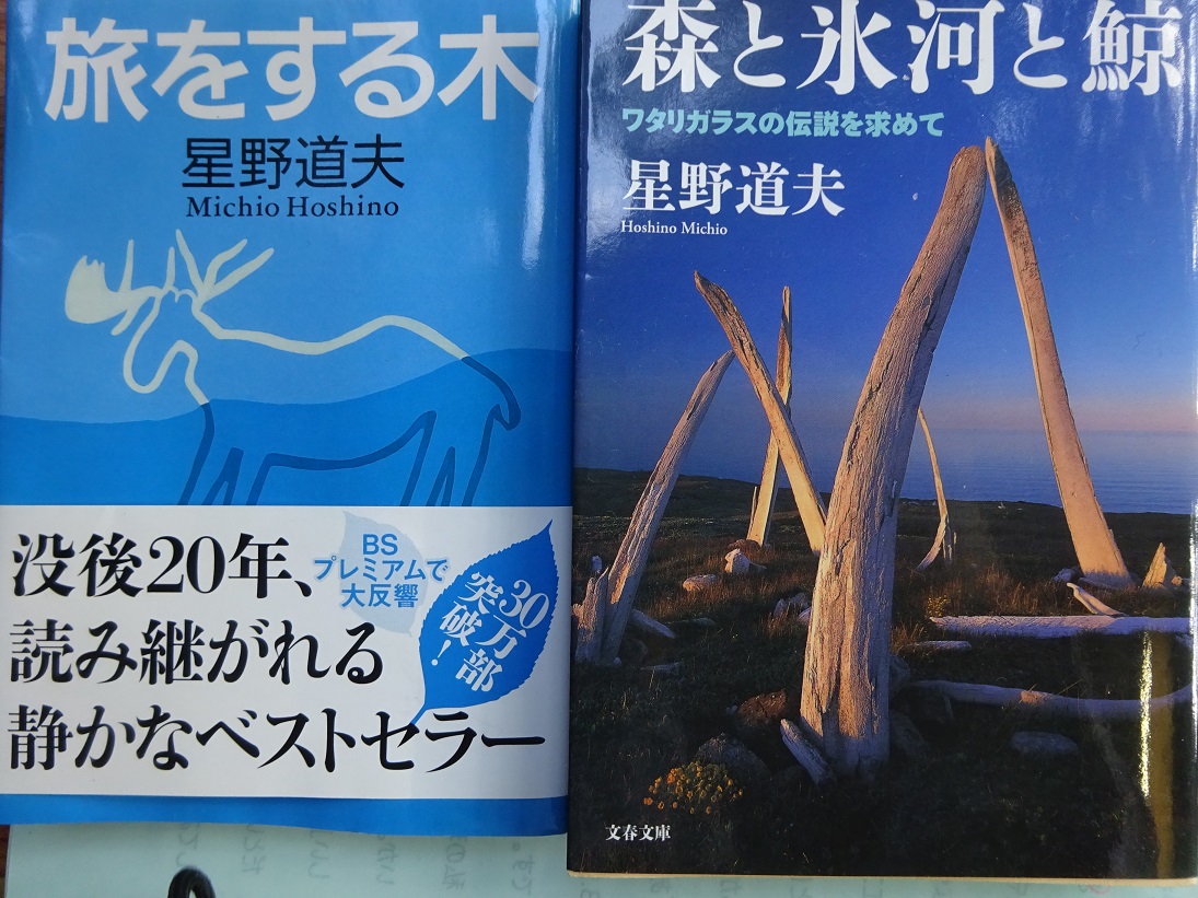 f:id:ksen:20190804171256j:plain