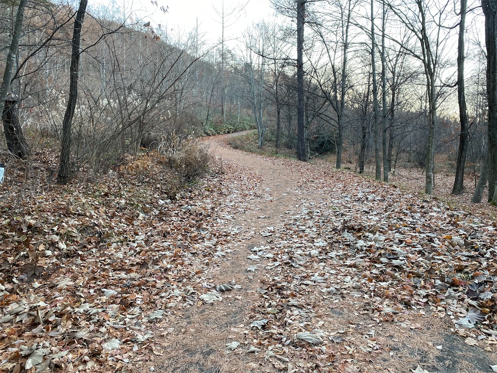 f:id:ksg2999:20201130185841j:image