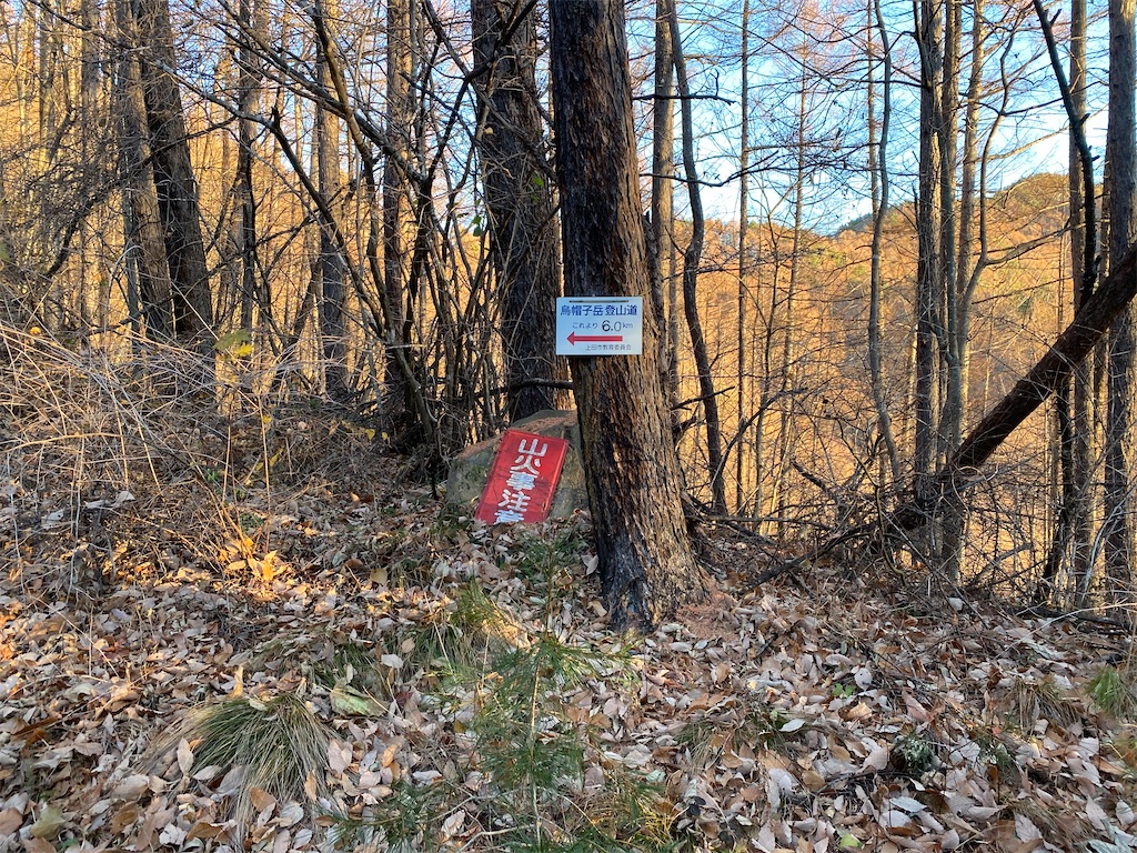 f:id:ksg2999:20201130185902j:image