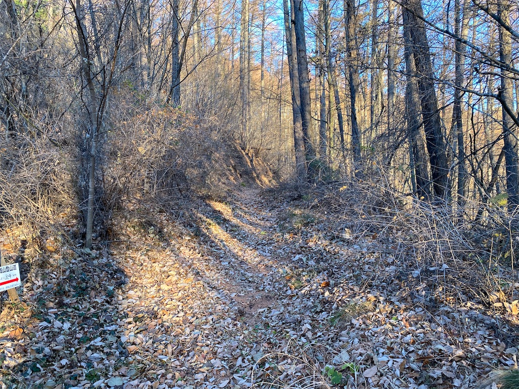 f:id:ksg2999:20201130185916j:image