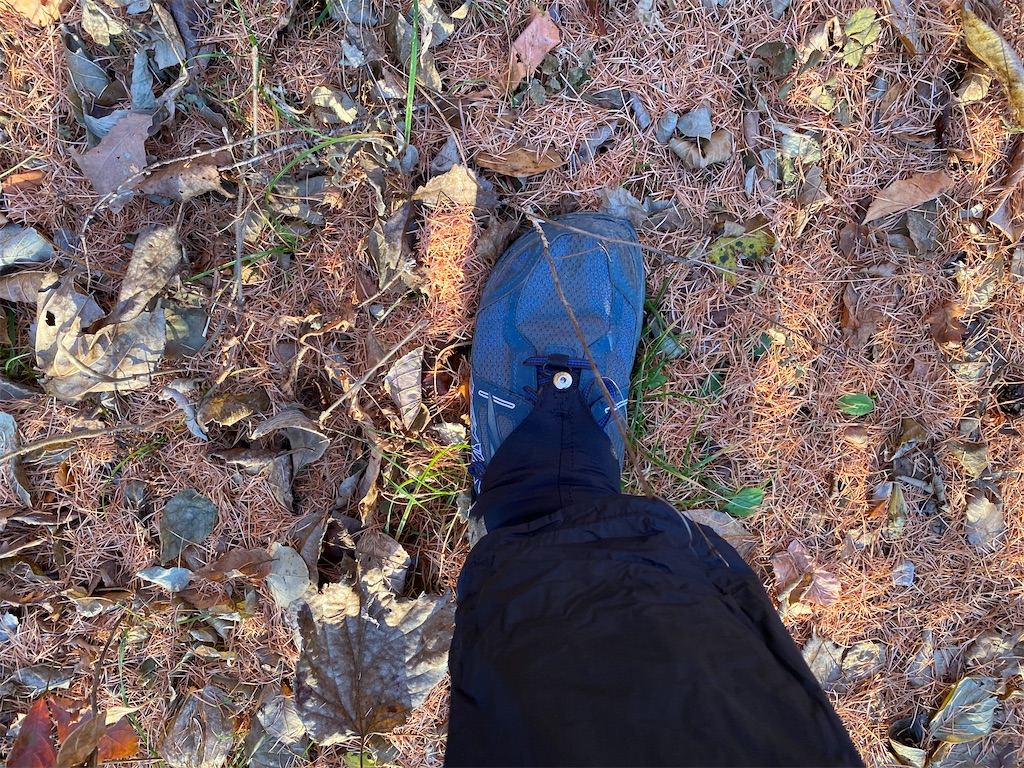 f:id:ksg2999:20201201070147j:image