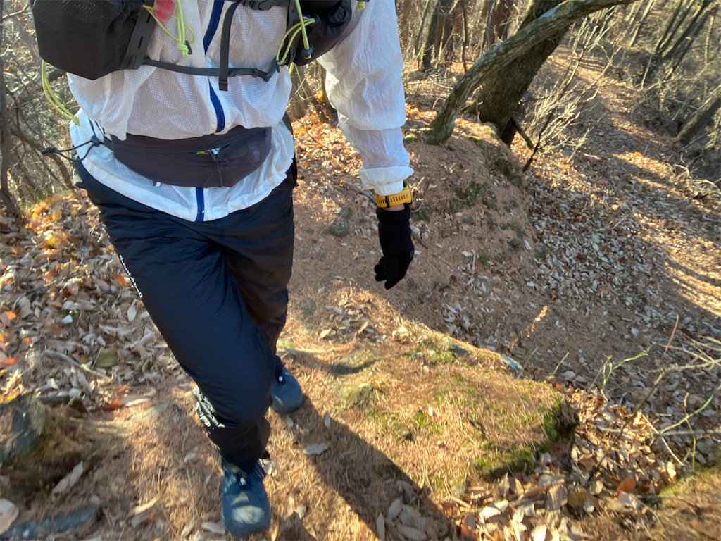 f:id:ksg2999:20201201070254j:image