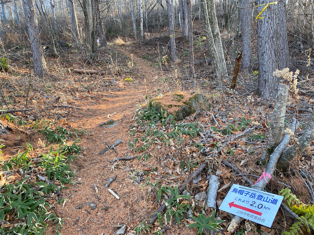 f:id:ksg2999:20201201070511j:image