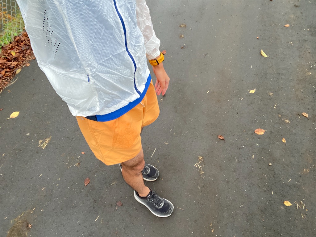 f:id:ksg2999:20201204172420j:image