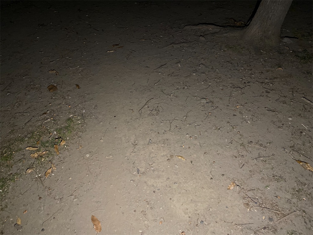 f:id:ksg2999:20201219063301j:image