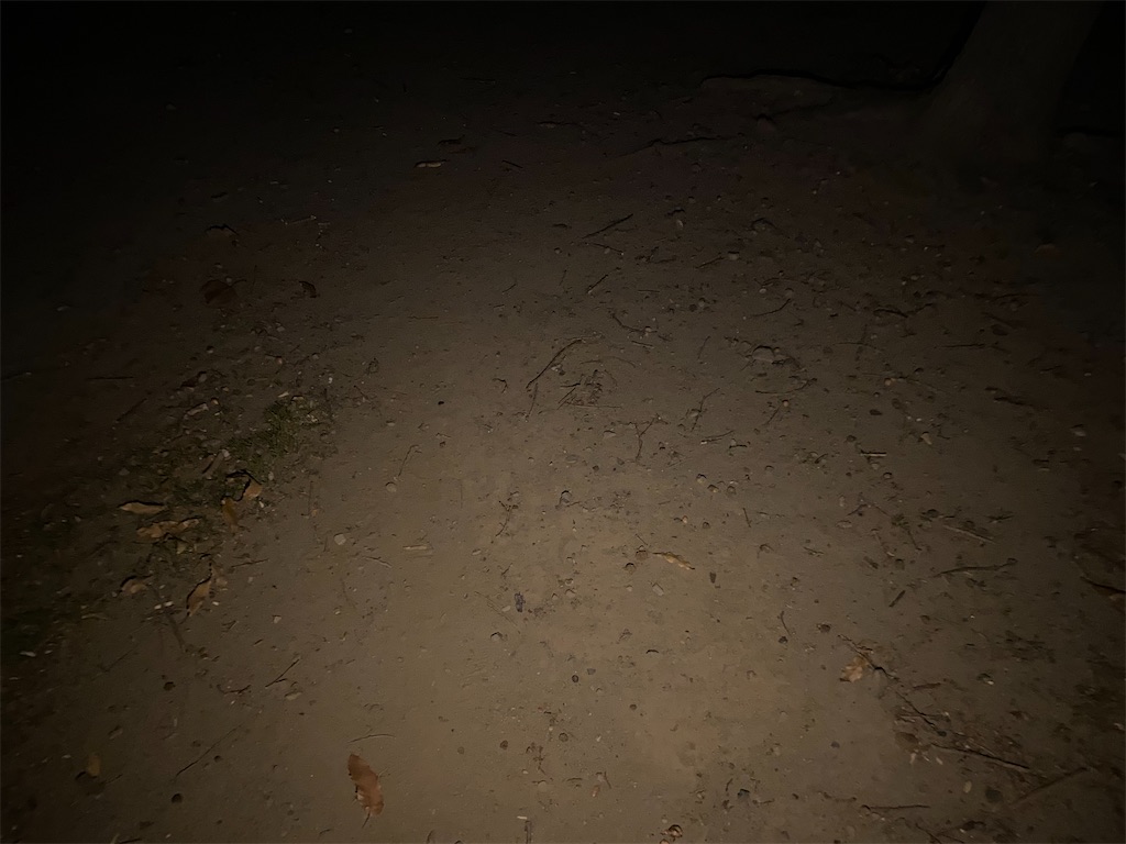f:id:ksg2999:20201219063535j:image