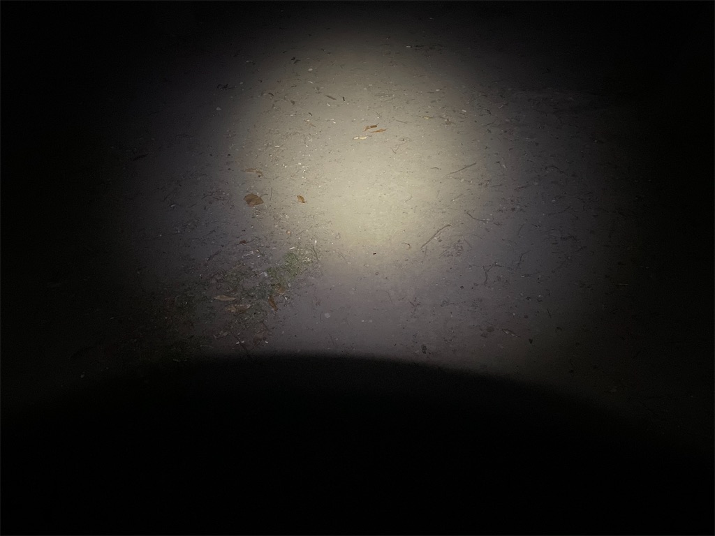 f:id:ksg2999:20201219064421j:image