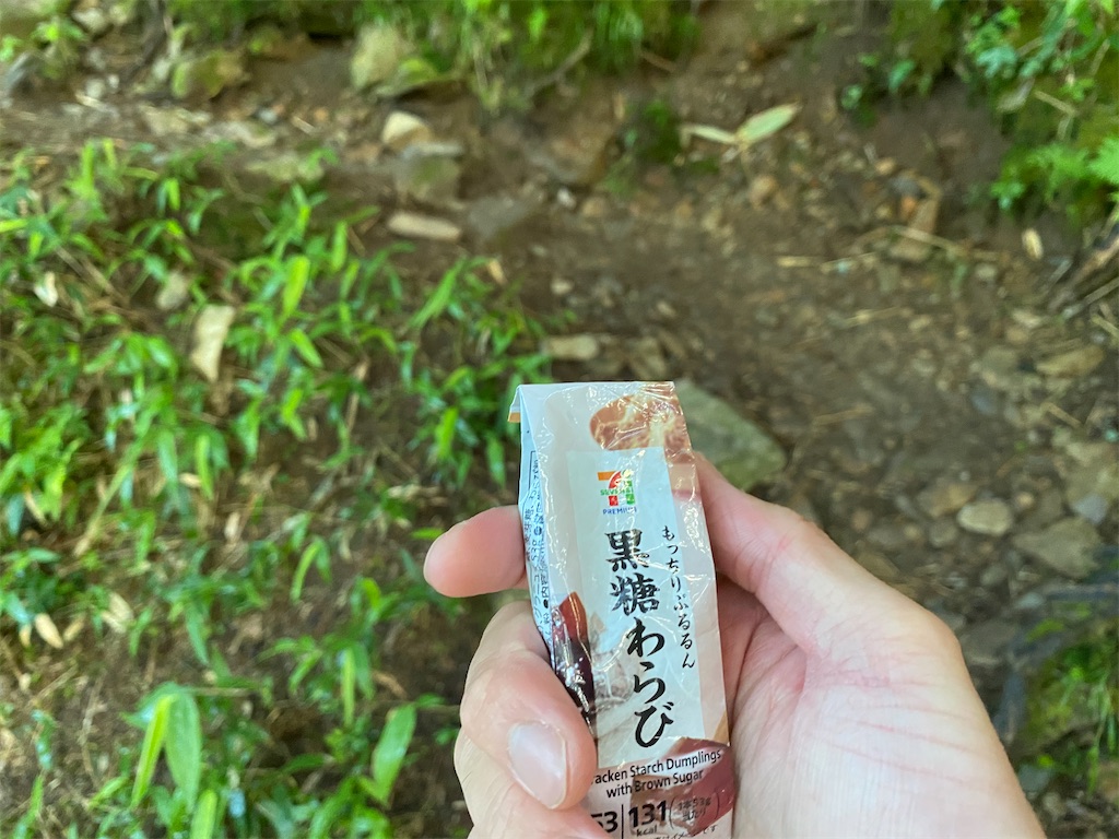 f:id:ksg2999:20210731131948j:image