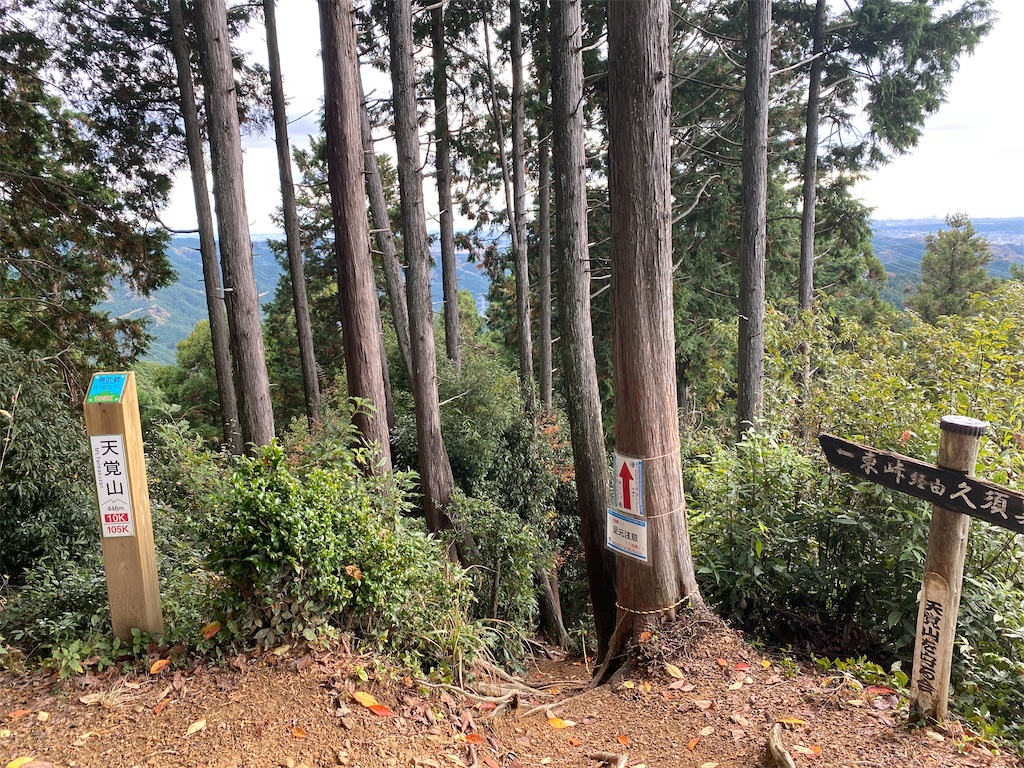 f:id:ksg2999:20211125071056j:image