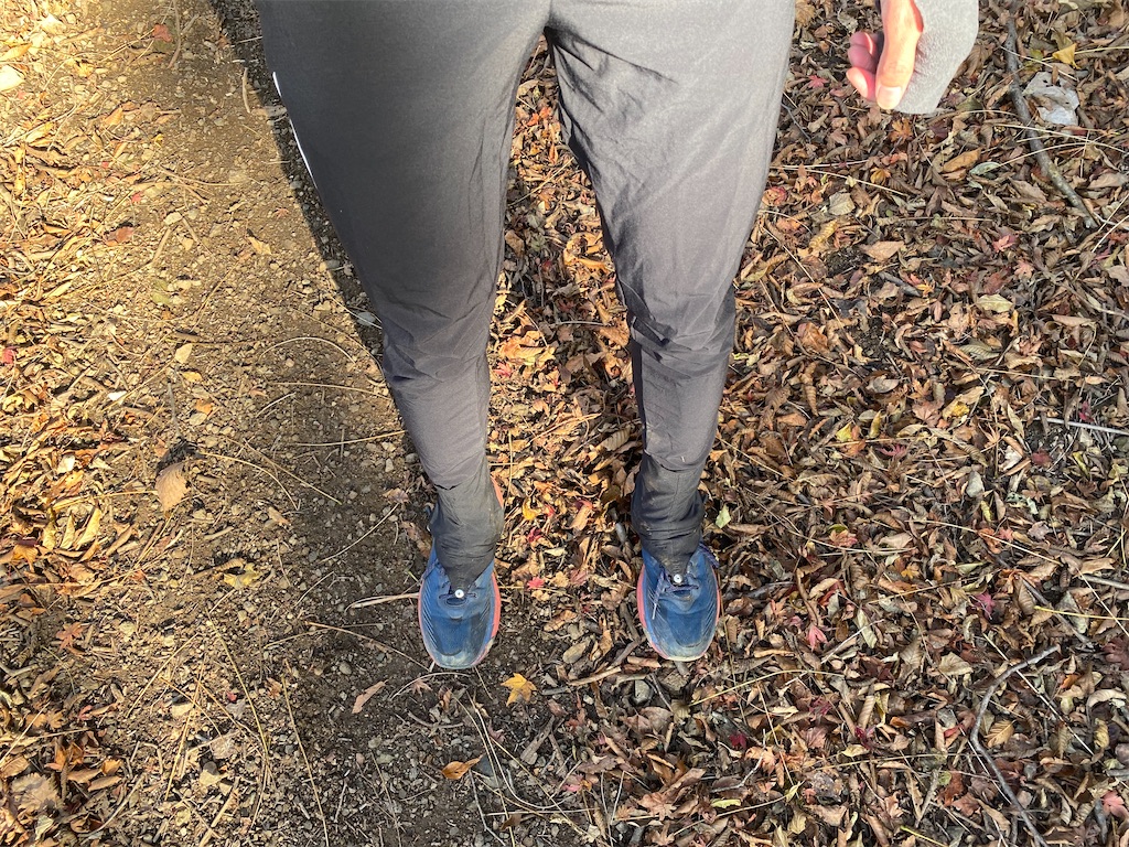 f:id:ksg2999:20211125071115j:image