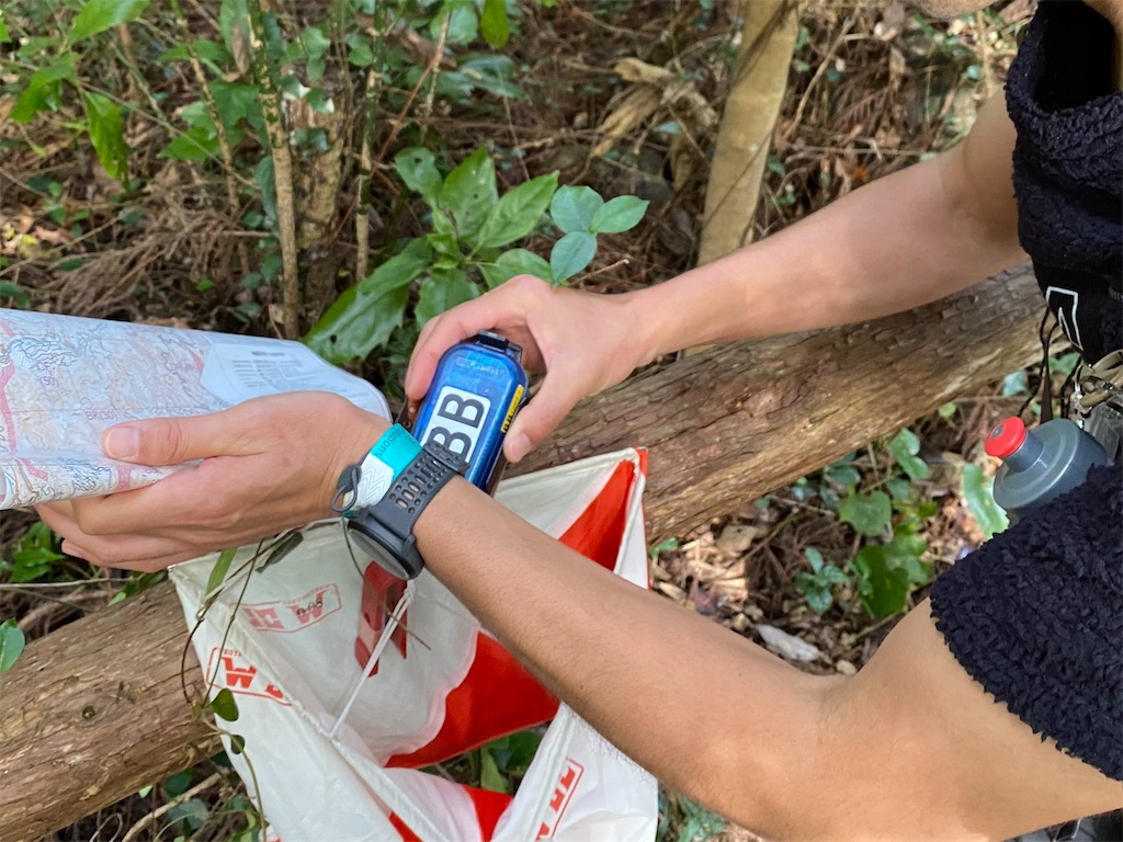 f:id:ksg2999:20241122212451j:image