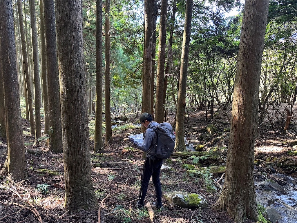 f:id:ksg2999:20241123042829j:image