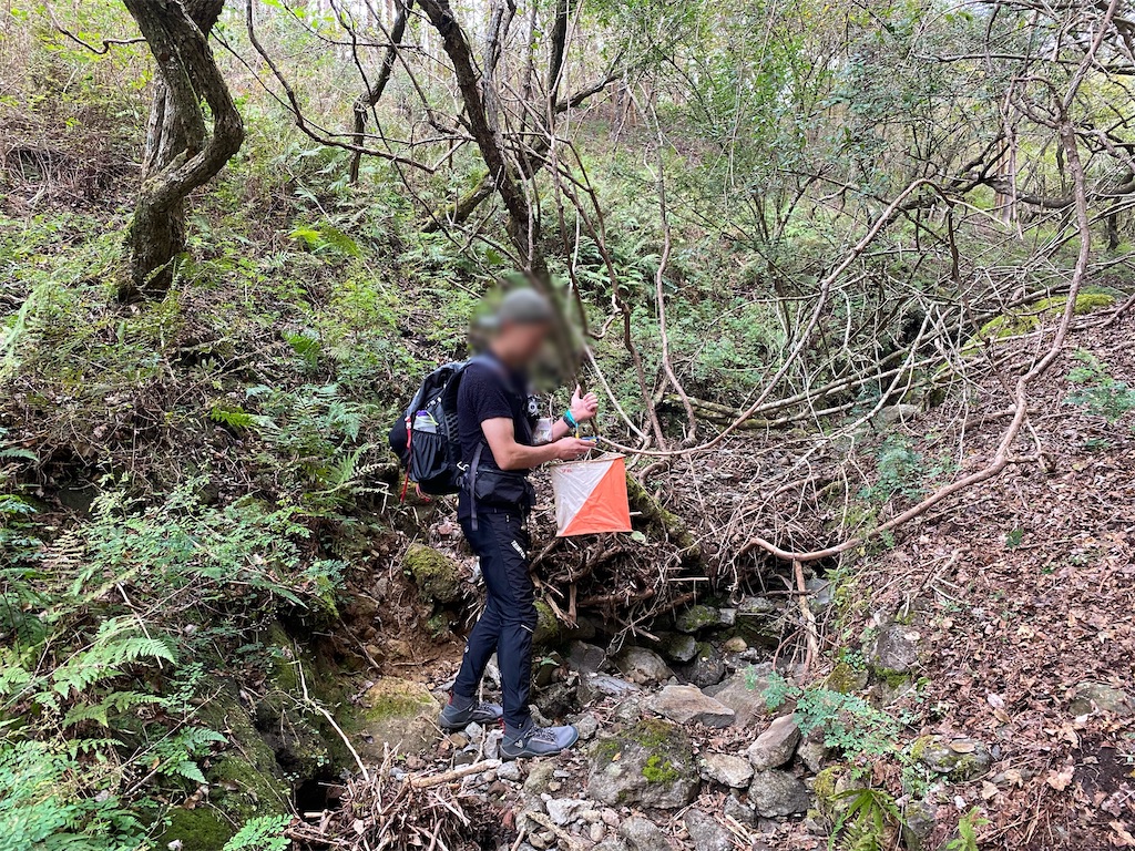 f:id:ksg2999:20241123045005j:image