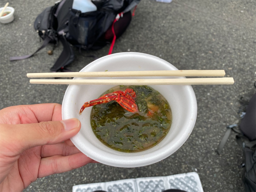 f:id:ksg2999:20241123045403j:image